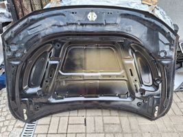 Dodge Durango Dangtis variklio (kapotas) 