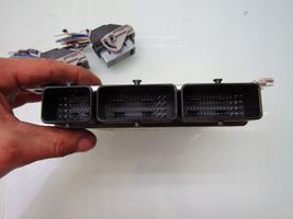 Nissan X-Trail T33 Modulo di controllo MPM 237036UA0A