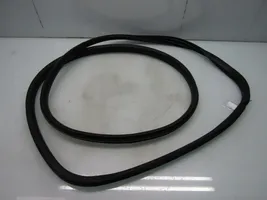 Renault Scenic III -  Grand scenic III Rear door rubber seal (on body) 