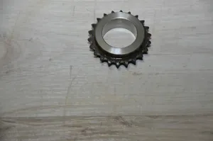 Citroen DS3 Timing chain sprocket 