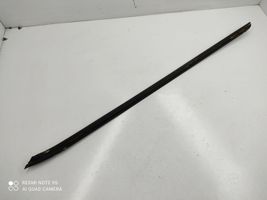 Audi A6 Allroad C5 Front door glass trim molding 