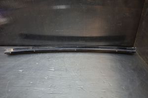 BMW X5 E70 Rivestimento del vetro della portiera 