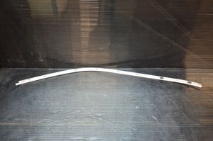 BMW X5 E70 Door glass trim 