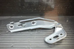 Audi A6 Allroad C6 Engine bonnet/hood hinges 