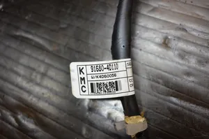 KIA Carnival Cablaggio elettrico portellone/bagagliaio 916804D110