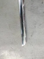 Mercedes-Benz S W116 Rivestimento della portiera anteriore (modanatura) 