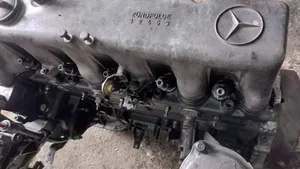 Mercedes-Benz W123 Motor 617.011