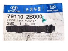 Hyundai Santa Fe Bisagras del capó/tapa del motor 791202B000