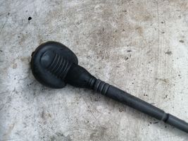 Seat Ibiza III (6L) Radion antenni 