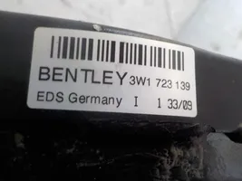 Bentley Continental Pédale de frein 3W1723139