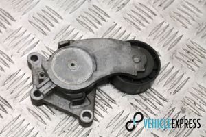 Volvo V40 Tendicinghia generatore/alternatore 