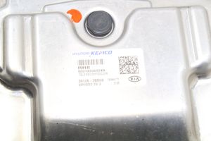 KIA Sportage Sterownik / Moduł ECU 391282BRH8