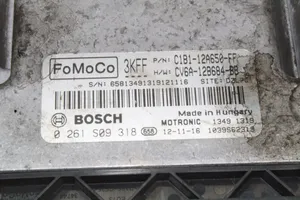 Ford Fiesta Calculateur moteur ECU C1B112A650FF