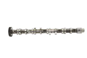 Volkswagen Tiguan Camshaft 03L109022D