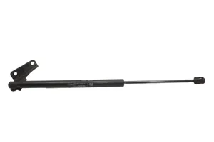 KIA Sorento Tailgate/trunk/boot tension spring 817802P501