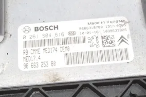 Peugeot RCZ Calculateur moteur ECU 9666325380