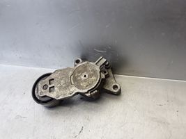 Volvo S40 Napinacz paska alternatora 419494