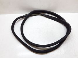 Mercedes-Benz S W220 Rear door rubber seal (on body) 