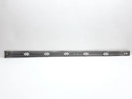 Mercedes-Benz S W220 Front door trim (molding) A2206900562