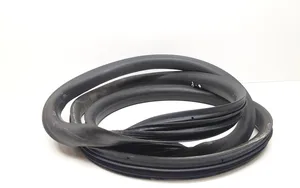 Volvo XC60 Front door rubber seal 