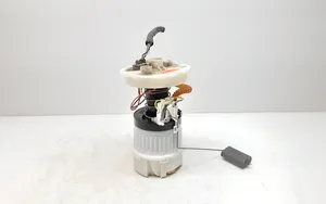 Volvo C30 In-tank fuel pump 6N519H307