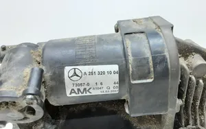 Mercedes-Benz R W251 Ilmajousituksen kompressoripumppu A2513201004