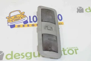 Nissan Pathfinder R51 Rivestimento della console di illuminazione installata sul rivestimento del tetto 26430EB311