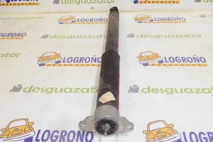 Ford C-MAX II Ammortizzatore posteriore con molla elicoidale 1751385