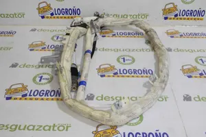 Audi Q7 4M Airbag da tetto 4L0880741A