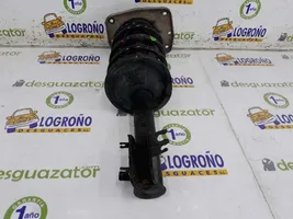 Fiat Scudo Ammortizzatore anteriore 1491969080