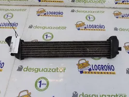 Renault Kangoo III Intercooler radiator 8200221885