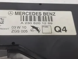 Mercedes-Benz SLK AMG R172 Radio antena A2308201289