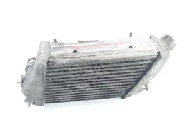 Audi A8 S8 D5 Chłodnica powietrza doładowującego / Intercooler 4E0145806A