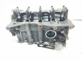 Renault Kangoo III Motorblock 110107734R