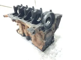 Renault Kangoo III Motorblock 110107734R