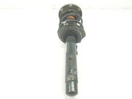 BMW 3 GT F34 Front shock absorber/damper 31316873773