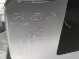 Hyundai Veloster Käsinoja 846102V000