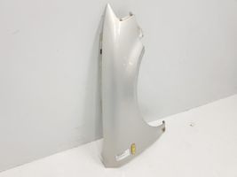 Volkswagen PASSAT B5 Fender 3B0821106C