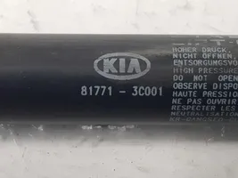 KIA Magentis Vérin de capot arrière 817713C001