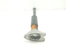 BMW X1 F48 F49 Ammortizzatore posteriore con molla elicoidale 33506886761