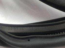 Hyundai Ioniq Rubber seal front door (on door) 82120G2000