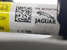 Jaguar XE Fibbia della cintura di sicurezza anteriore GX7316801AE