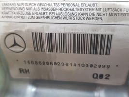 Mercedes-Benz ML AMG W166 Airbag de toit A1668600602