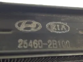 Hyundai Santa Fe Radiateur de direction assistée 254602B100
