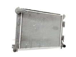 Hyundai i20 (GB IB) Coolant radiator 25310C8200