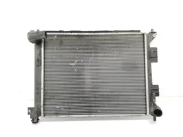 Hyundai i20 (GB IB) Dzesēšanas šķidruma radiators 25310C8200