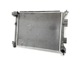 Hyundai i20 (GB IB) Coolant radiator 25310C8200