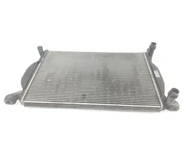 Seat Exeo (3R) Dzesēšanas šķidruma radiators 8E0121251A