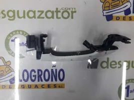 Renault Talisman Maniglia esterna per portiera posteriore 806078882R