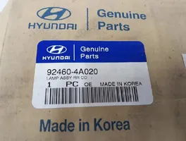 Hyundai H-1, Starex, Satellite Galinis žibintas dangtyje 924604A020